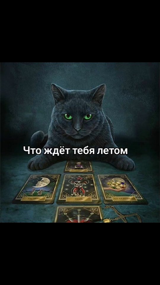 chnggjbcghjggjkkkhfgukjgft в LOOKY. #расклад,#ответвопрос,#таросветлогопровидца,#викторияколомиец. #расклад #ответвопро...
