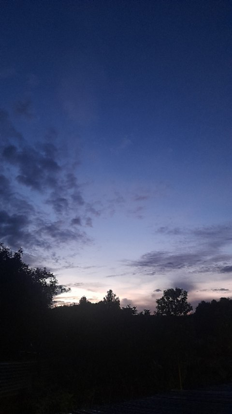 sol.ccv в LOOKY. #love,#guatemala,#reels,#flyp,#naturaleza,#fraces,#motivacion,#árboles,#viral,#motivacion,#parati,#amor,#sentimientos,#paz,#Ojitosmiel,#ojitos. Ojitos de color  mie...
