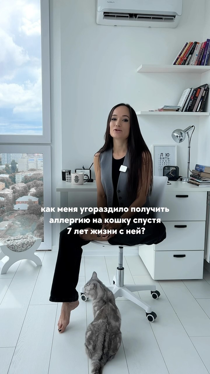 gyzechka в LOOKY. #кошка,#аллергиянакошку,#аллергия,#самара,#домашниеживотные,#кот. Приступы продолжаютс...