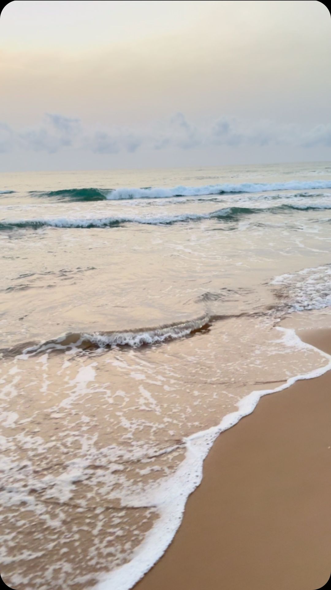 memberofnature в LOOKY. . null