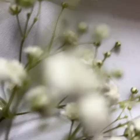 Екатерина в LOOKY. . Выбирай любимый аром...