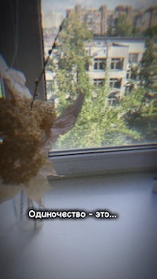 naya.wolfy в LOOKY. . Может и правда непло...