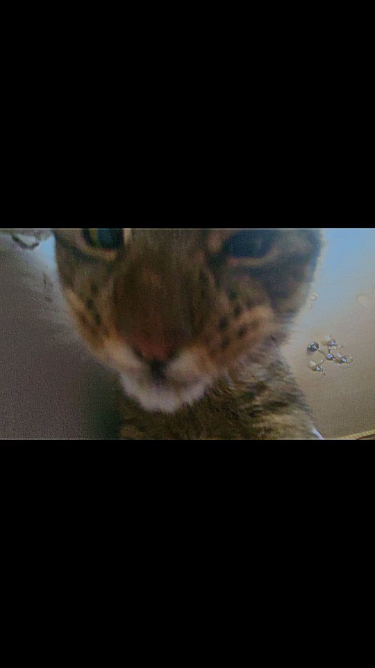 sh1va_destroy в LOOKY. . null