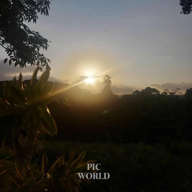 mrinform2 in LOOKY. #srilanka,#peradeniya,#world,#viralreels,#trending,#nature,#westcoast,#love,#naturephotography. University of Perade...