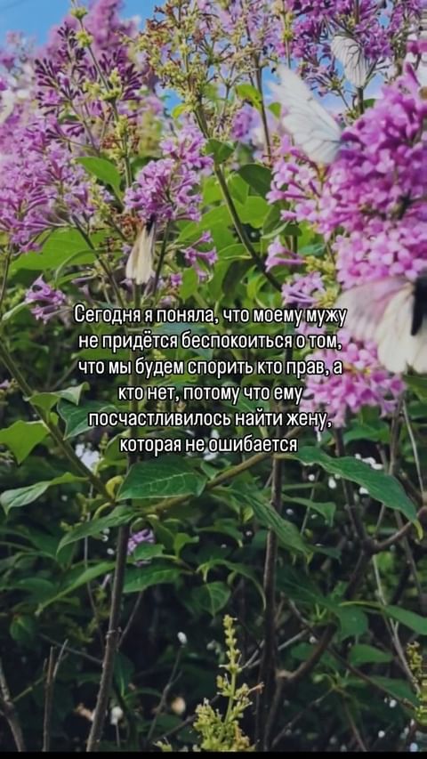 tigriciya72 в LOOKY. . Завидую ему даже 🤗