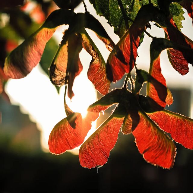 fatislana в LOOKY. #лето,#июнь,#искуство,#фото. Vibe of summer
#лето...