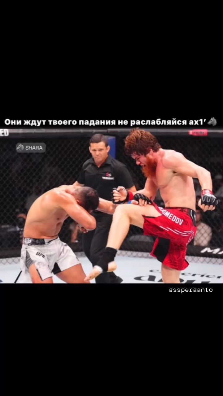 aghajskwnbshsijqbsjkmsnbshsuaj в LOOKY. #жизнь,#ногти,#ногти2023,#ногтидизаи,#розовыеногти,#ногтигельлак,#новости,#дизаи,#слоеноетесто,#мкногти,#ногтики,#ногти2023,#нокти,#ногтилук,#летниеногти,#новогодниеногти,#ноготки,#градиентнаногтях,#цветынаногтях,#геометриянаногтяхhttps. Shara borz 🐺🤙

No ...