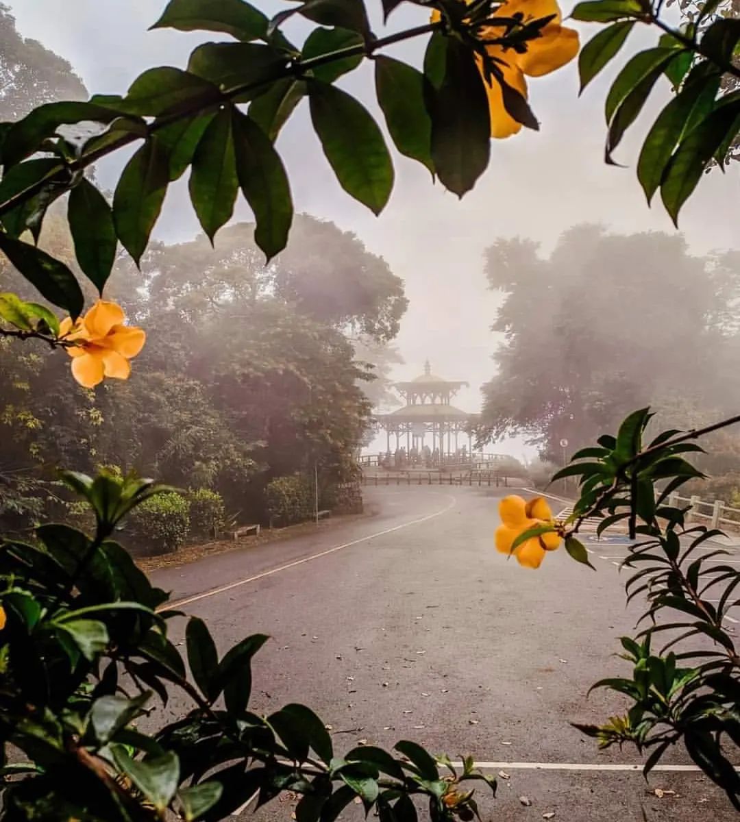 Mesmo nos mais  cinzentos é possível encontrar cor!
Tudo depende o ângulo que se olha!

#errejota 
#brazil 
#vistachinesa 
#inverno 
#domingo
