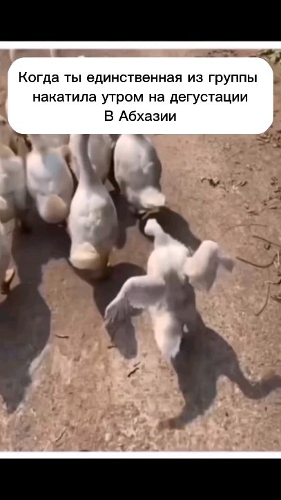 mokshanina в LOOKY. . null