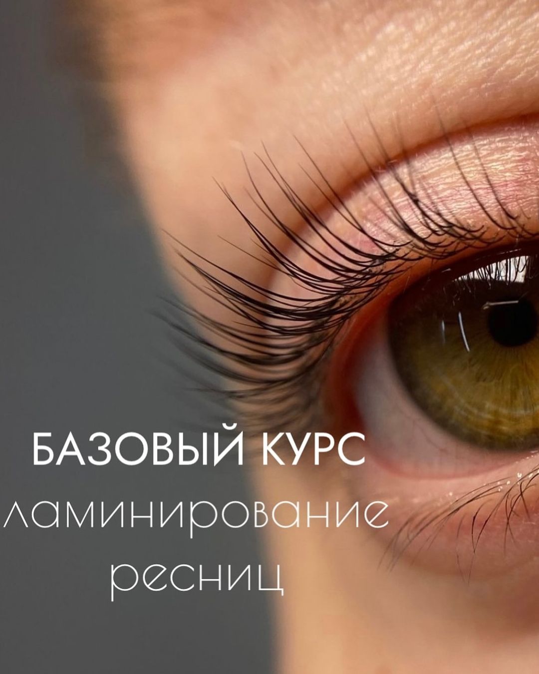browi_alina_ в LOOKY — БАЗОВЫЙ КУРС «Профессия ламимейкер»

На курсах вы окажитесь 