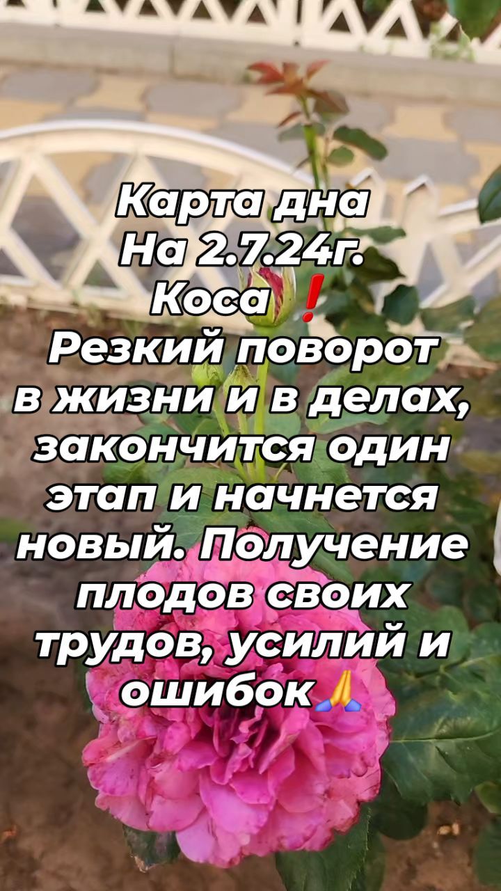 svetlana.tarolog.magpraktik в LOOKY. #челлендж2024,#chellenge,#этороссия,#ппрецепты,#маникюр,#идеальныйманикюр,#дизайнинтерьера,#победабудетзанами,#гороскопнакаждыйдень,#картадня. #челлендж2024 #chell...
