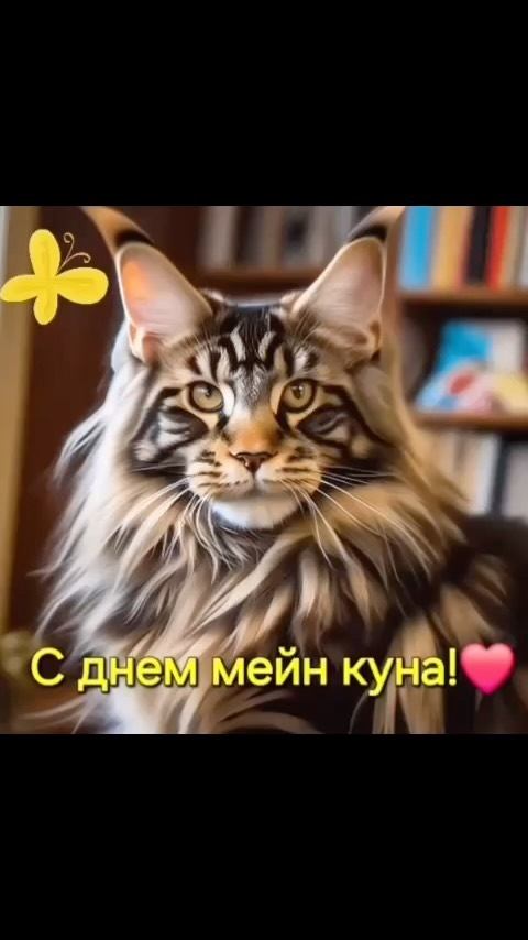 meincoonperfectlynx в LOOKY. #мейнкун,#меи,#mainecoon,#cat,#mainecooncat,#кот,#мейнкункотята,#котята,#instacat,#котики,#cats,#mainecoons,#catstagram,#mainecoonkitten,#мейнкуны,#кошка,#maincoon,#питомникмейнкунов,#кошки,#mainecoon_id,#kitten,#catlover,#catsofinstagram,#большиекошки,#kitty,#mainecoongram,#maincoonkitten,#catlife,#купитькотенкамейнкун,#купитькотенкамейнкун. День породы кошек ме...