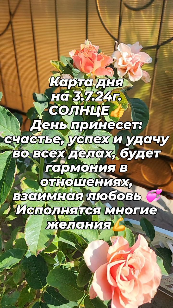 svetlana.tarolog.magpraktik в LOOKY. #челлендж,#днр,#картадня,#гороскопонлайн,#гороскопнакаждыйдень,#путешествиепороссии,#СВО,#этороссиядетка,#люблюроссию,#лнр. #челлендж #днр #карт...