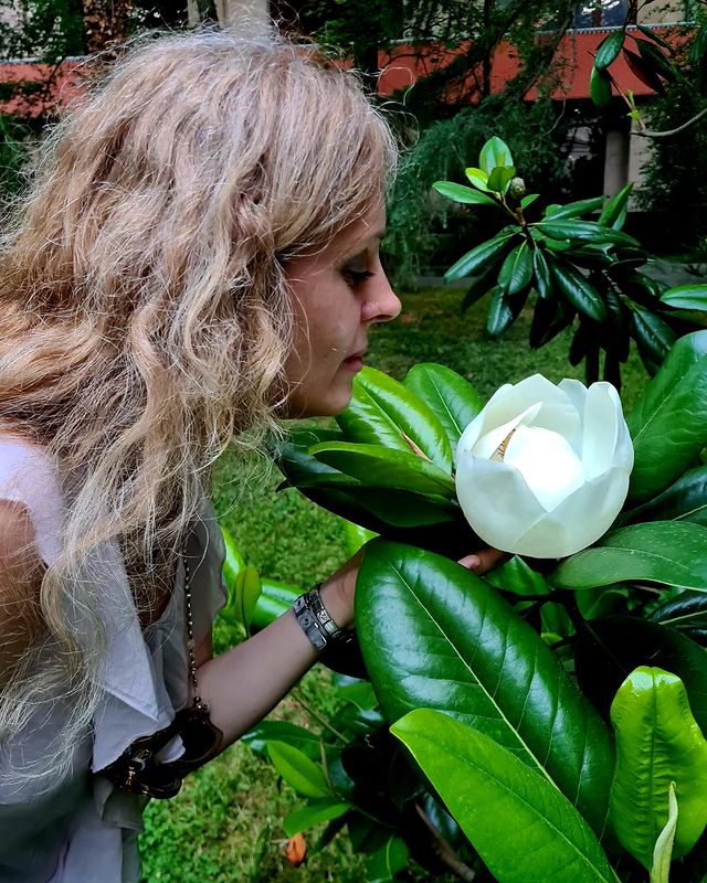 _ulia_tortur_ в LOOKY. #хорошийдень#лето,#солнце#море,#жизньхороша#житьхорошо,#цветы#южноевзморье,#Сочи#адлер. В краю магнолий
#хор...