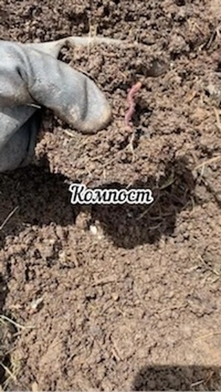 dacha_c_nulya в LOOKY. . 🤗Доброго денечка.
М...