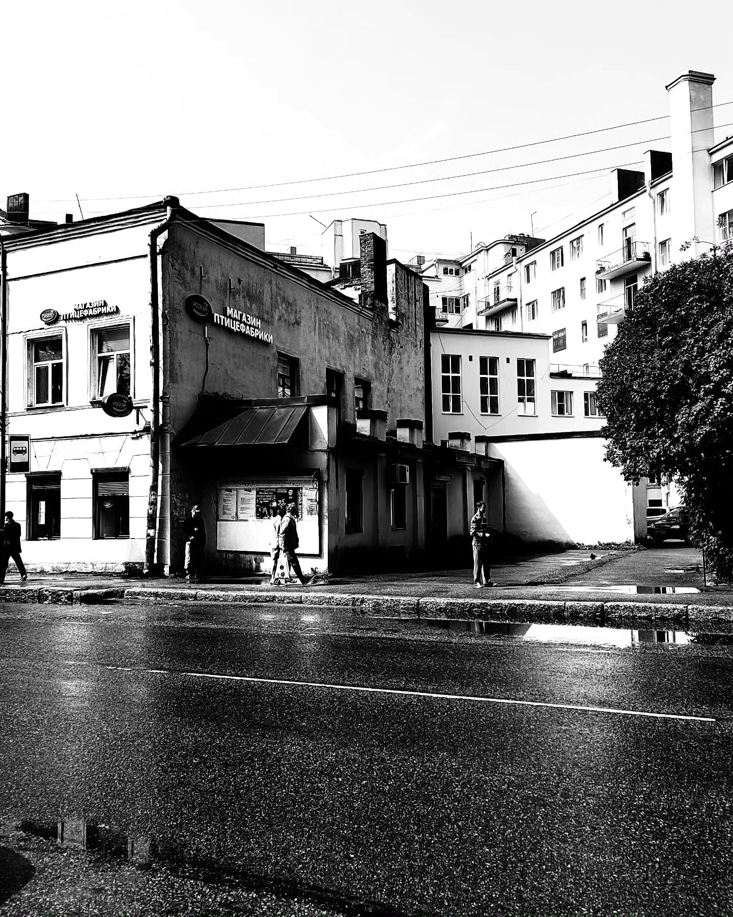 krasniiy_krokodil в LOOKY — фото 4