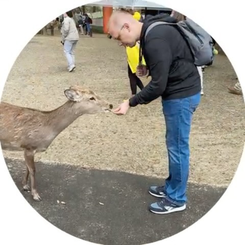 n_dvoryaninov в LOOKY — фото 9