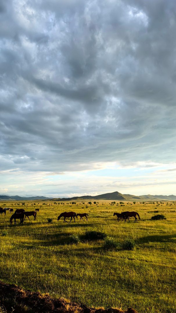 ivanvtrofimov в LOOKY. #путешествие,#горы,#Хакасия,#treveling,#trevel,#khakassia. Love in Khakassia 🐎...