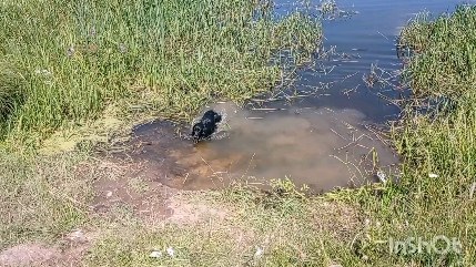 denitta_ekb в LOOKY. . Вид на гору Волчица....