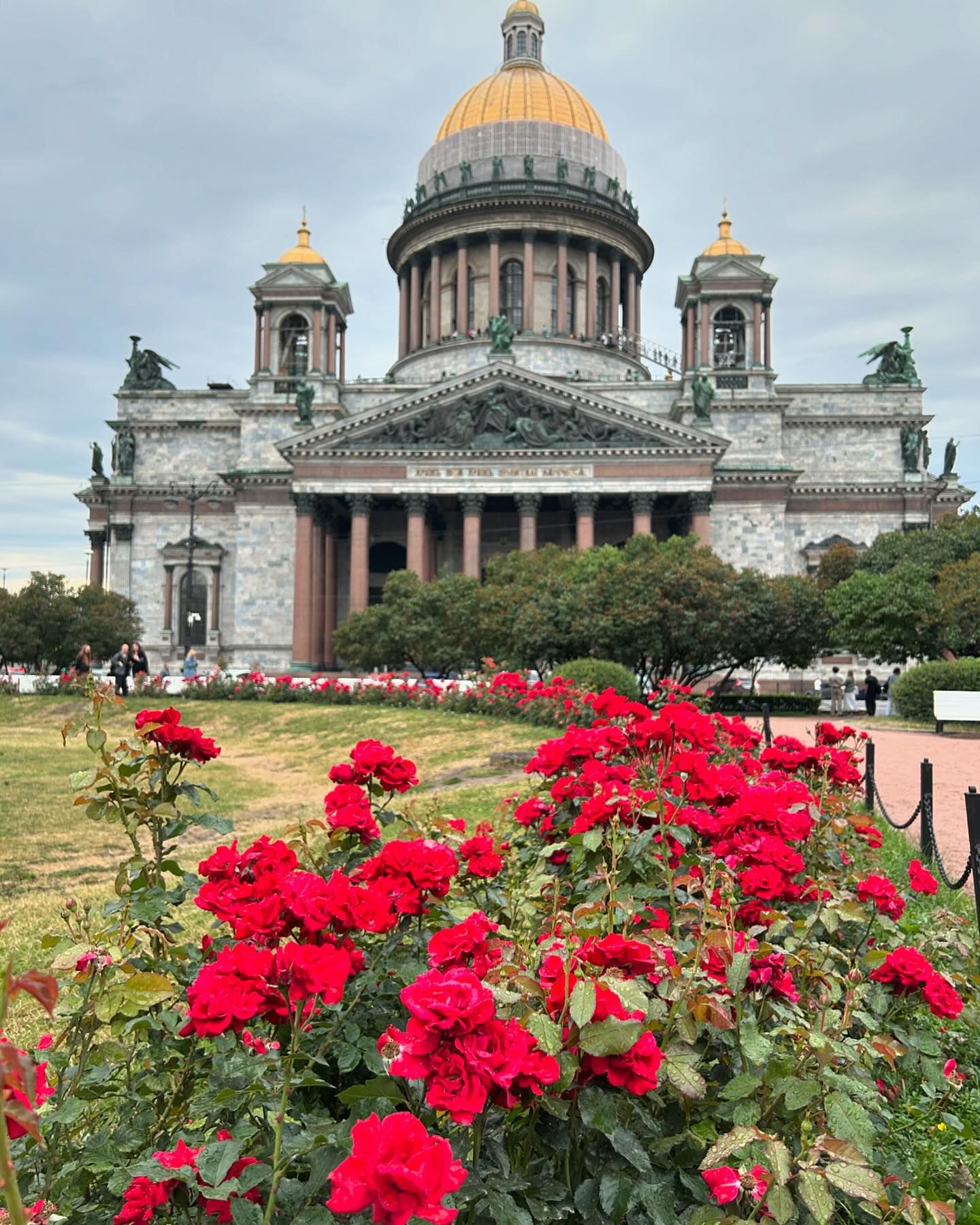petit_comtesse в LOOKY. . null