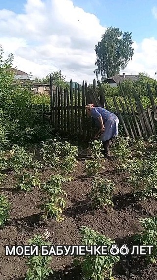 gastapova в LOOKY. #родители,#бабушка,#любимые,#счастье,#счастьеесть,#счастьевмелочах❤️. #родители #бабушка #...