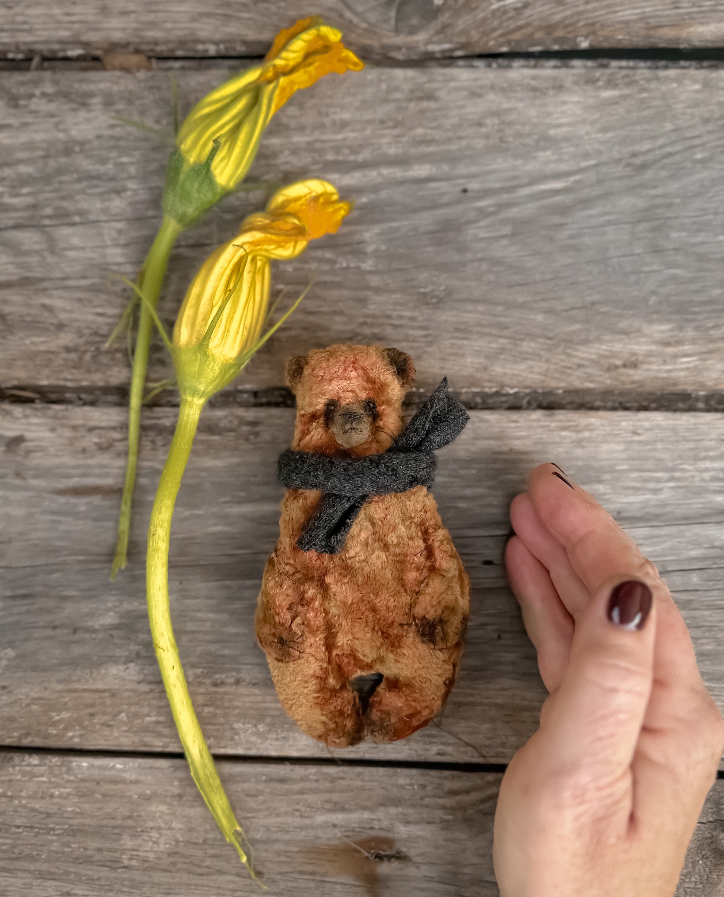 teddyandberry in LOOKY. . А я с  новиночками!!...