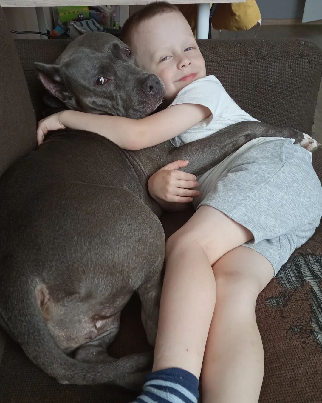 pitbull_puma_ekb в LOOKY. . Друзья 🥰