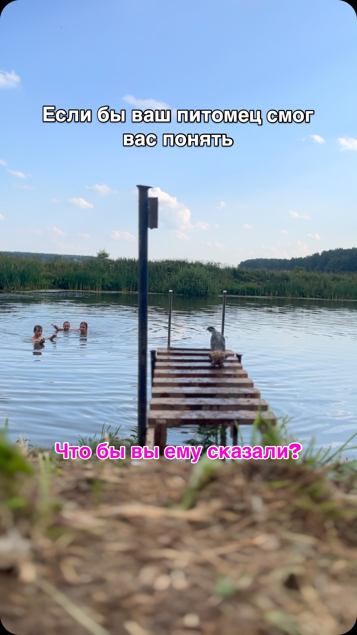 zuichek в LOOKY. . null