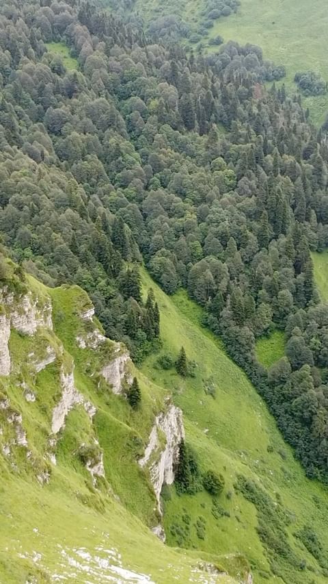 victorlonsky в LOOKY. . 🚁🕹️