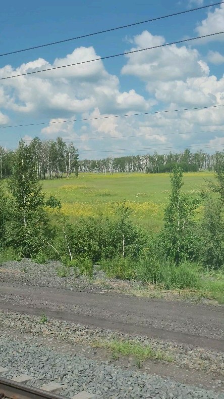 marusya____ivanova в LOOKY. . Начинаем новую жизнь...
