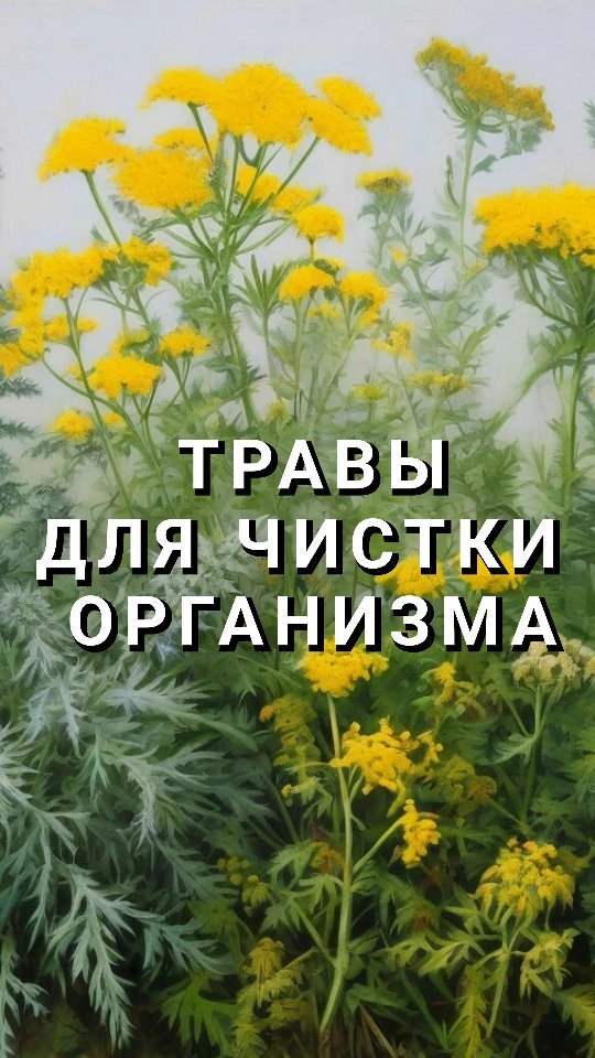 olisava_travnica в LOOKY. . 🪻ЧИСТКА НА ТРАВАХ О...