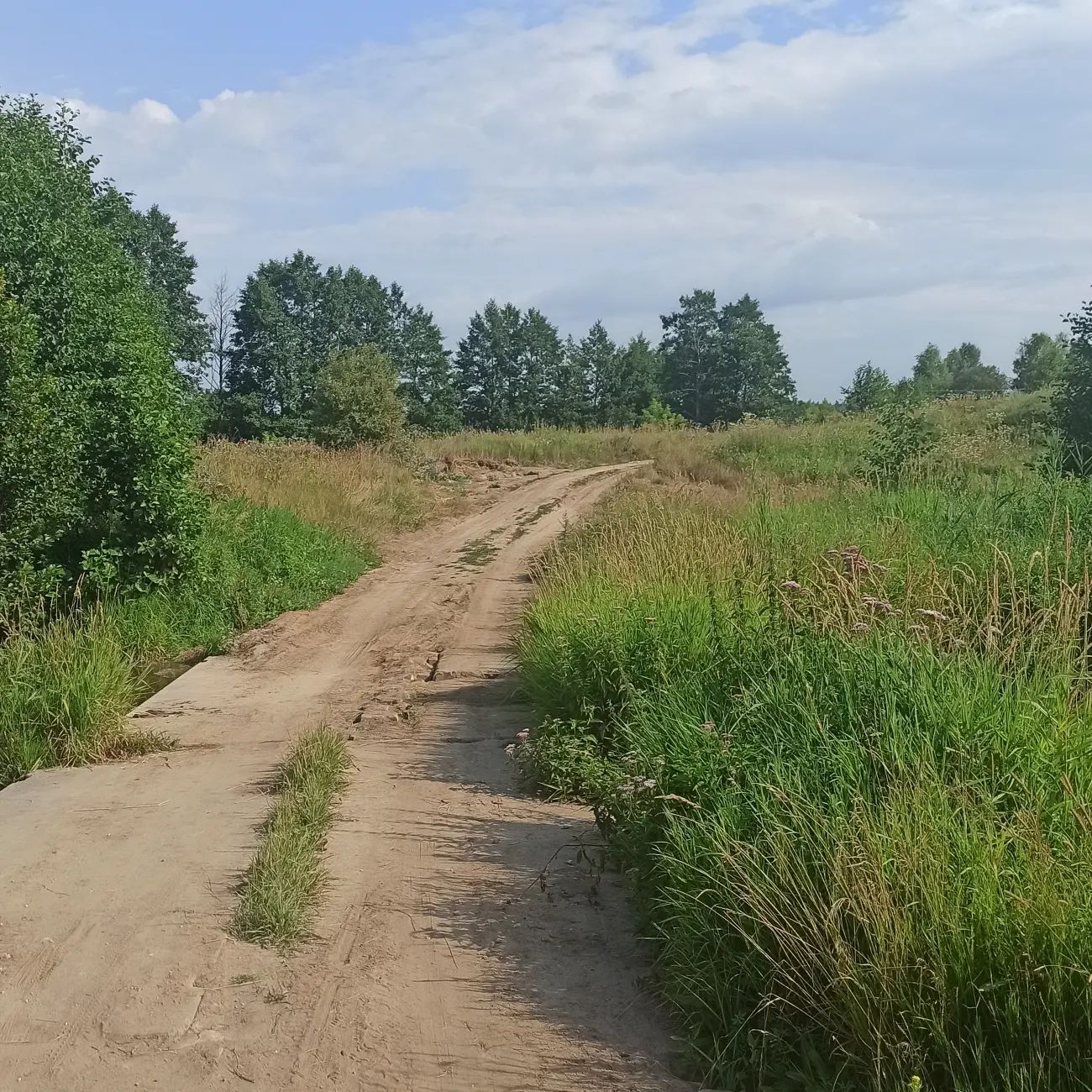 Яркое солнце, а тем временем мы отправились в дальнюю прогулку на природе, красота☺️#sitiezen #любимыйпес #природа