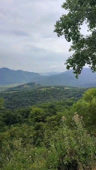 georgy_valeryevich в LOOKY. . Краснодарский край. ...