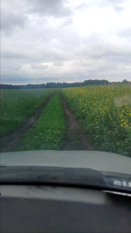 wasilina_wladi в LOOKY. . Разведку провели!!!