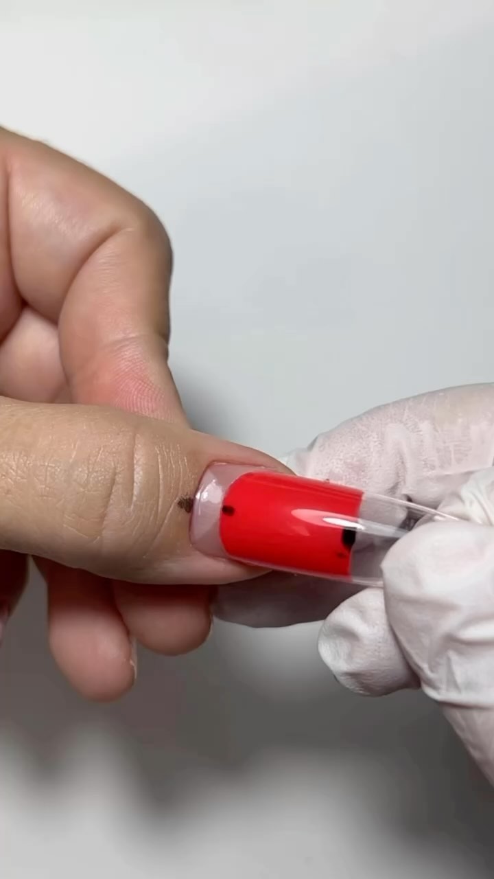 zalisa_nails в LOOKY. #верхниеформы,#наращиваниеногтей,#верхниеформыгель,#верхниеформыдлянаращивания,#наращиваниегелем,#zalisa_nails,#наращиваниеростов,#ногтиуют,#маникюруют,#наращиваниеногтейуют. Всегда нужно себя пр...