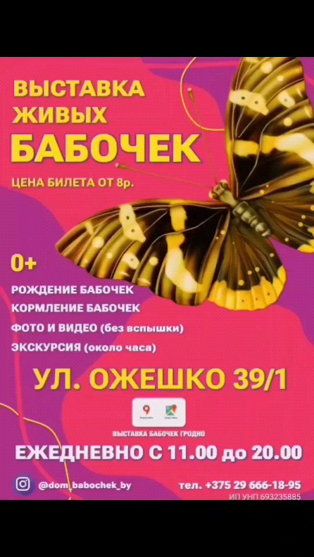 pro_babochek в LOOKY. #ГроднаяБабочка,#БабочкиВГродно,#ВыставкаБабочекГродно,#БабочкиГродно,#КрасотаБабочекГродно,#ГродненскиеБабочки,#БабочкиПриродыГродно,#ЛепидоптерыГродно,#ВсяПрелестьБабочекВГродно,#ГродноБабочкиМузей. Пресс-релиз

Выставк...