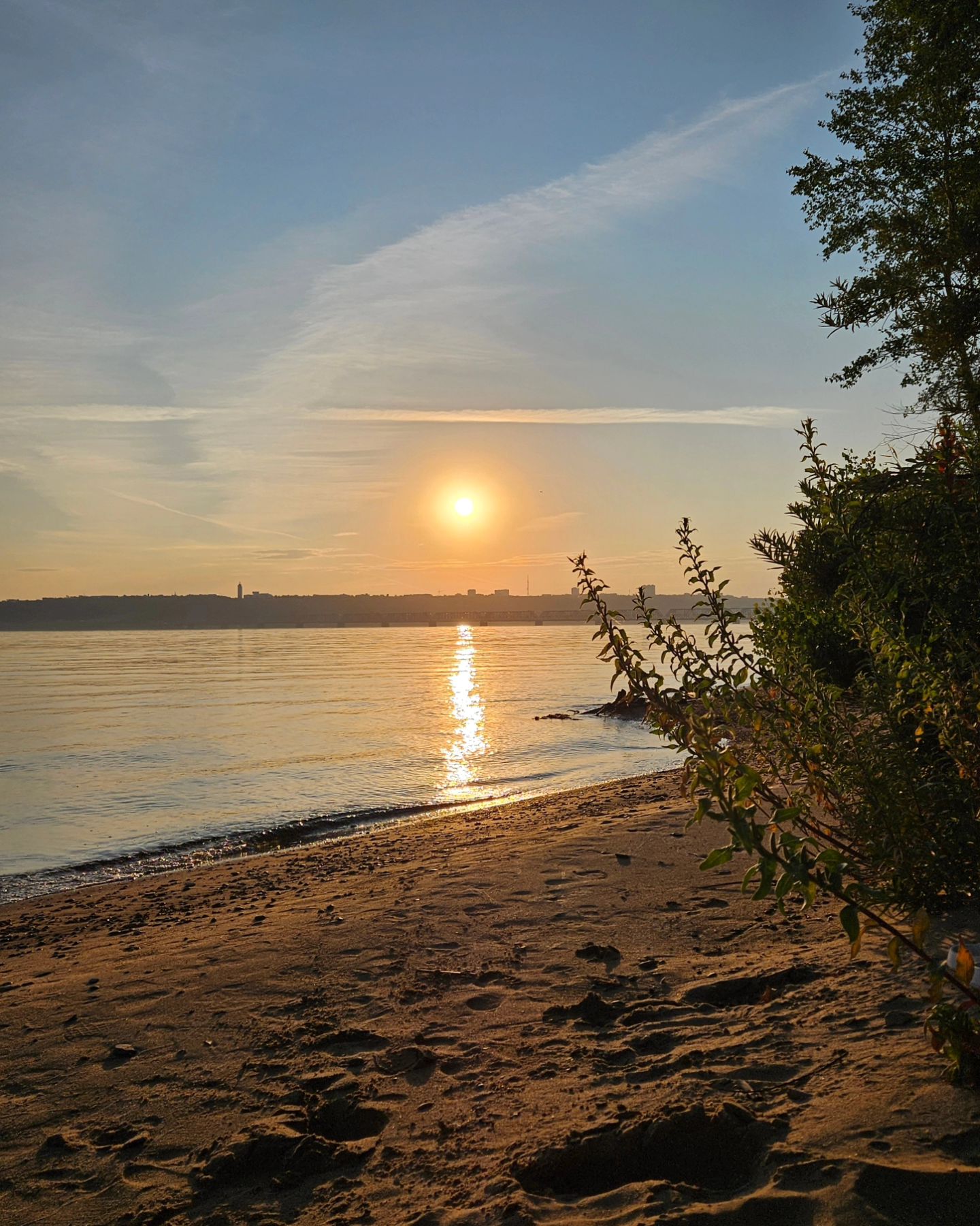 yuliya_vilin4uk в LOOKY. . null