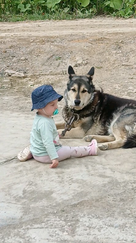 family_adventurers3 в LOOKY. . null