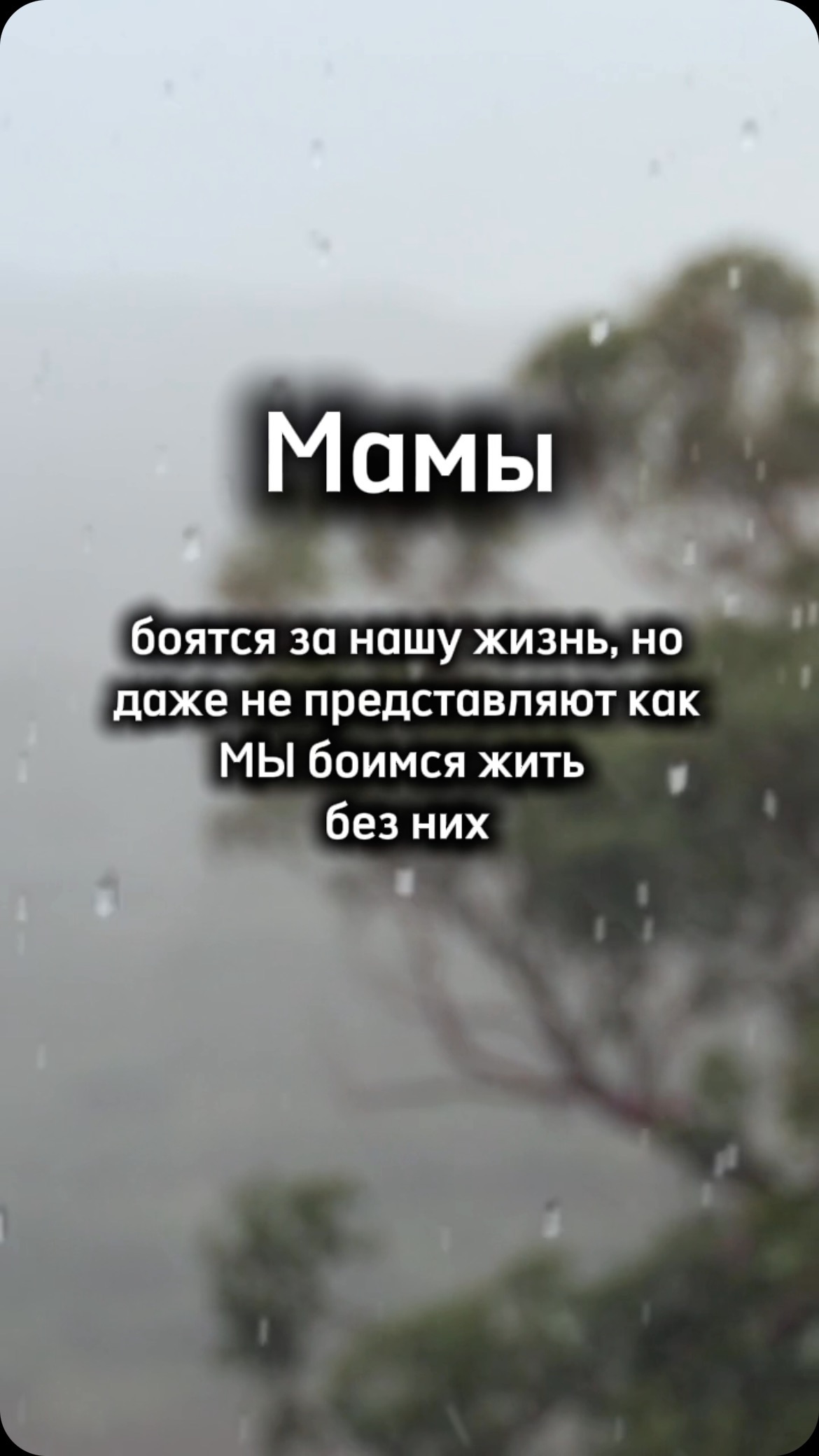 tanya_facele в LOOKY. . null