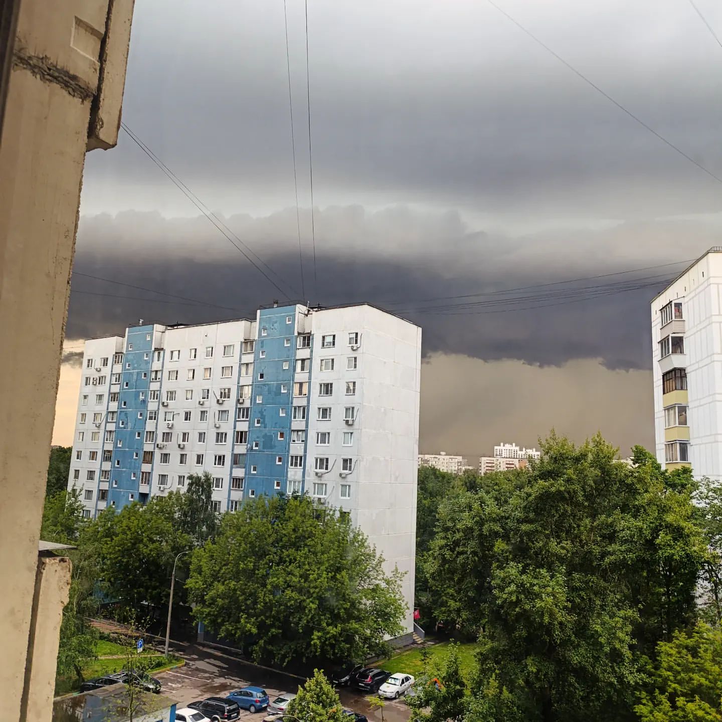 znoyka в LOOKY. . null