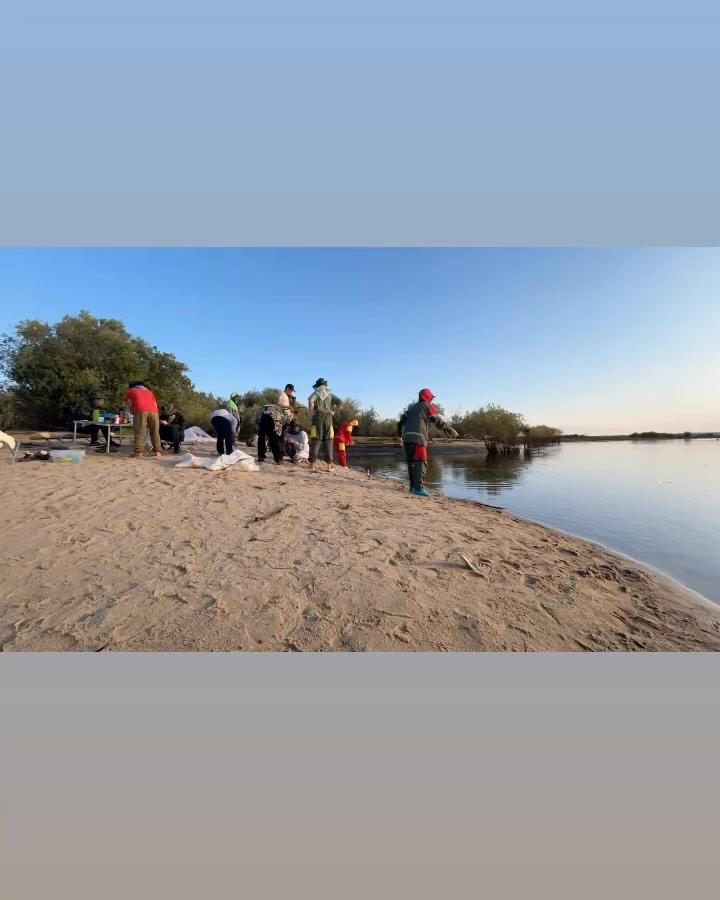  в LOOKY — фото 2