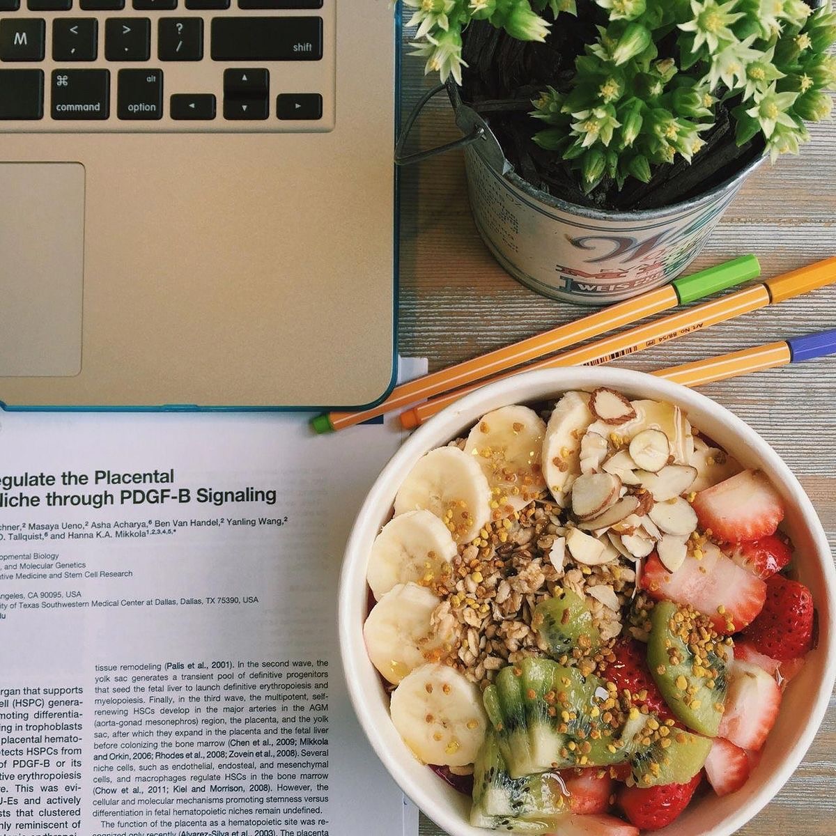 health__anapa в LOOKY. . ГЕРПЕСВИРУСЫ. ЧАСТЬ ...