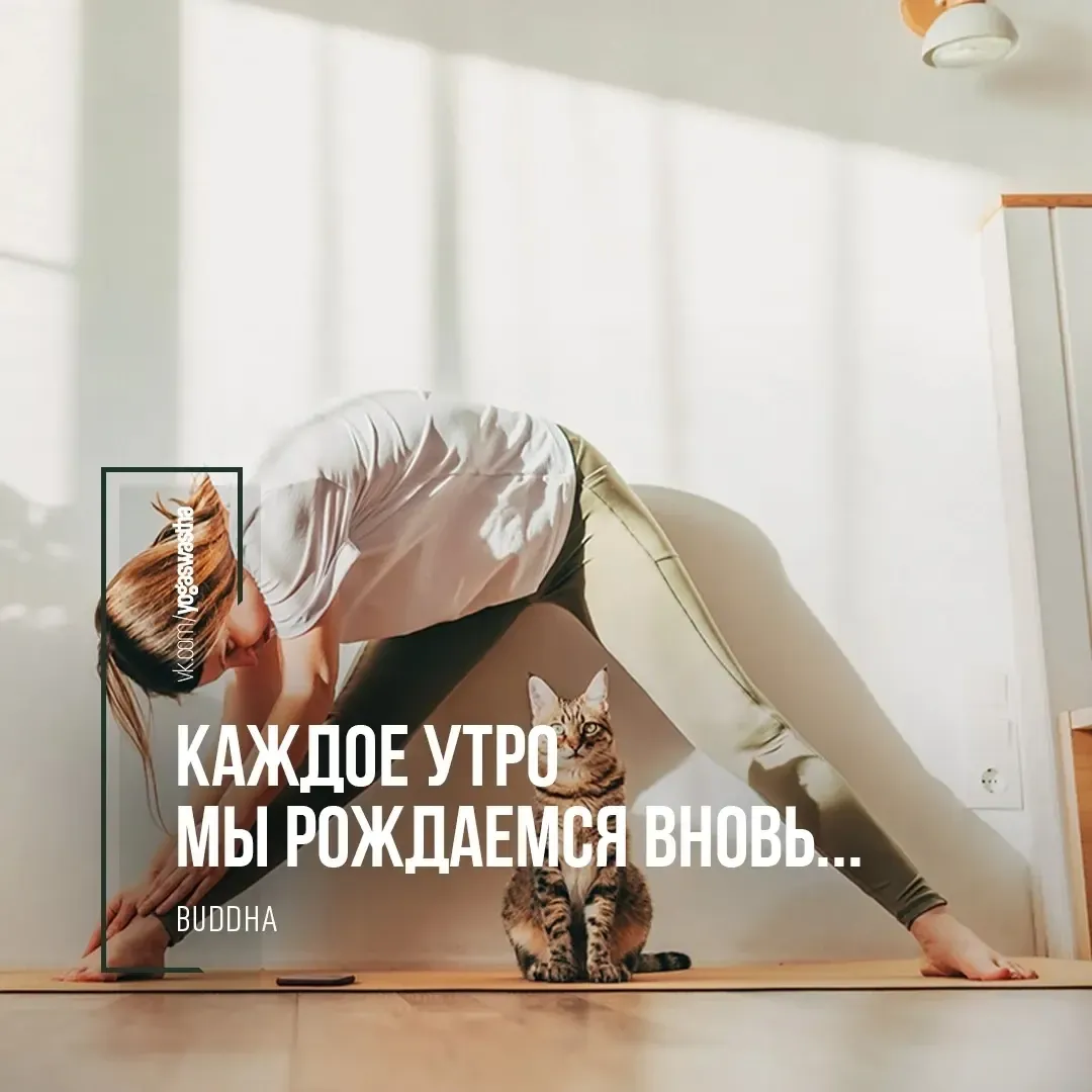 yogistica.ru в LOOKY — 👇
Каждое утро мы рождаемся вновь. 
И то, что мы сделаем сег