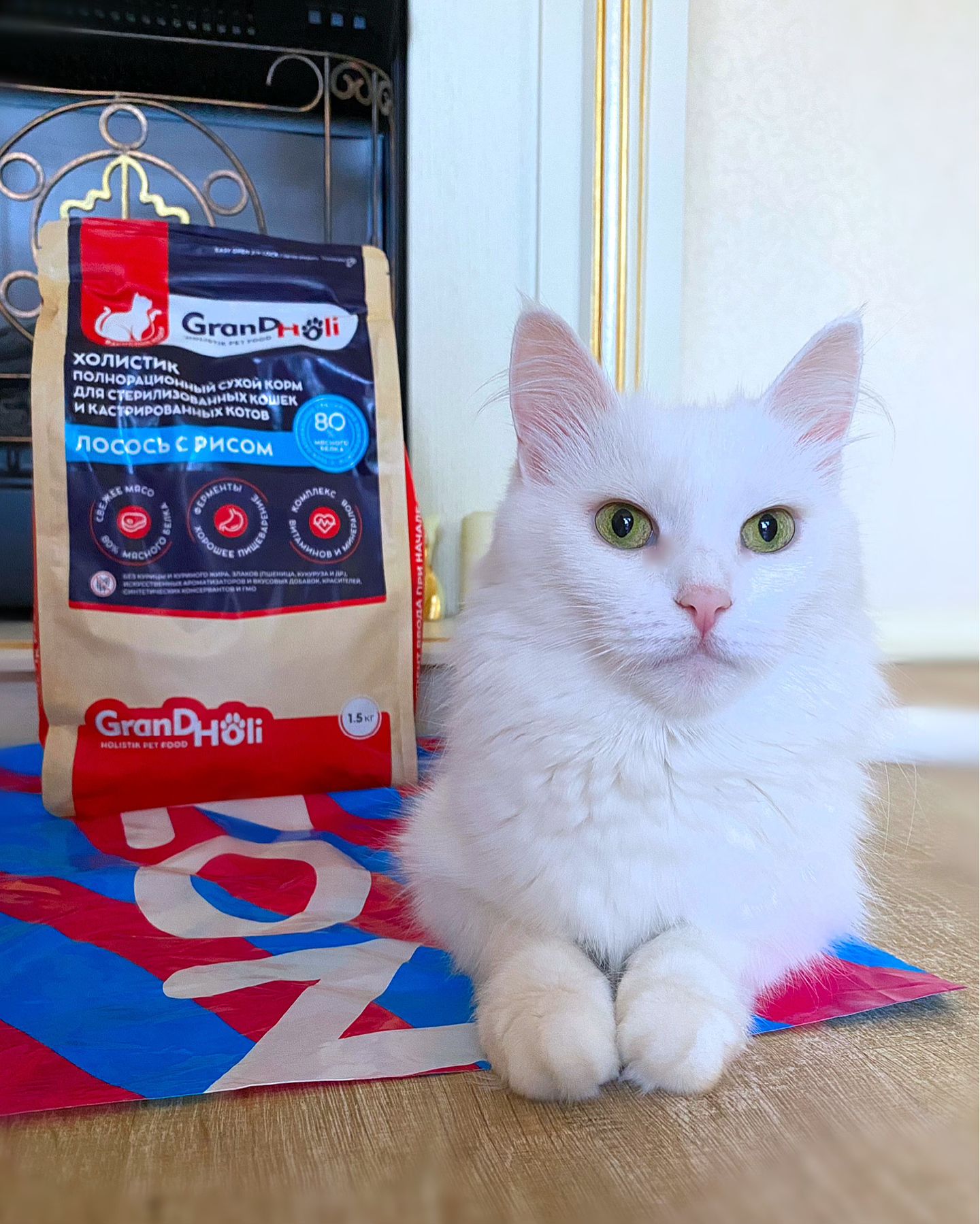 calipsa_cat в LOOKY. #cat#cat_features#ангорскиекошки#кошки#котики#likeforlikes#like4likes#likeforfollow#turkishangora#whitecat#турецкаяангора#gatto#kittygram#коты#втренде#котоблог#catlife#cats#catslover#instacat. Калипса продегустиро...