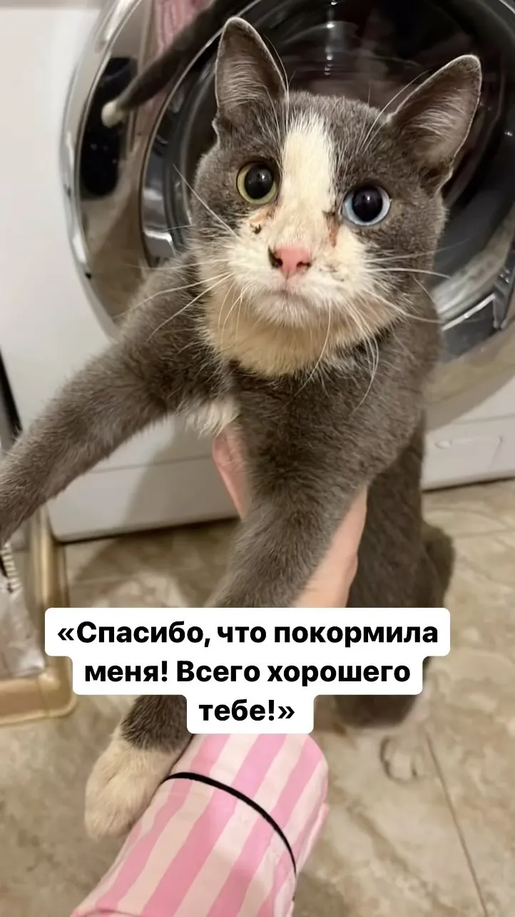 siya_tor в LOOKY. . Кто не давал мне спа...