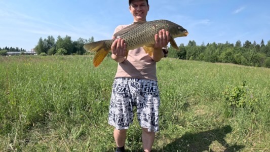 anton_tikhonravov в LOOKY. #рыбалка,#сазан,#дьячево,#рыбалкалетом,#напруду. #рыбалка#сазан#дьяче...