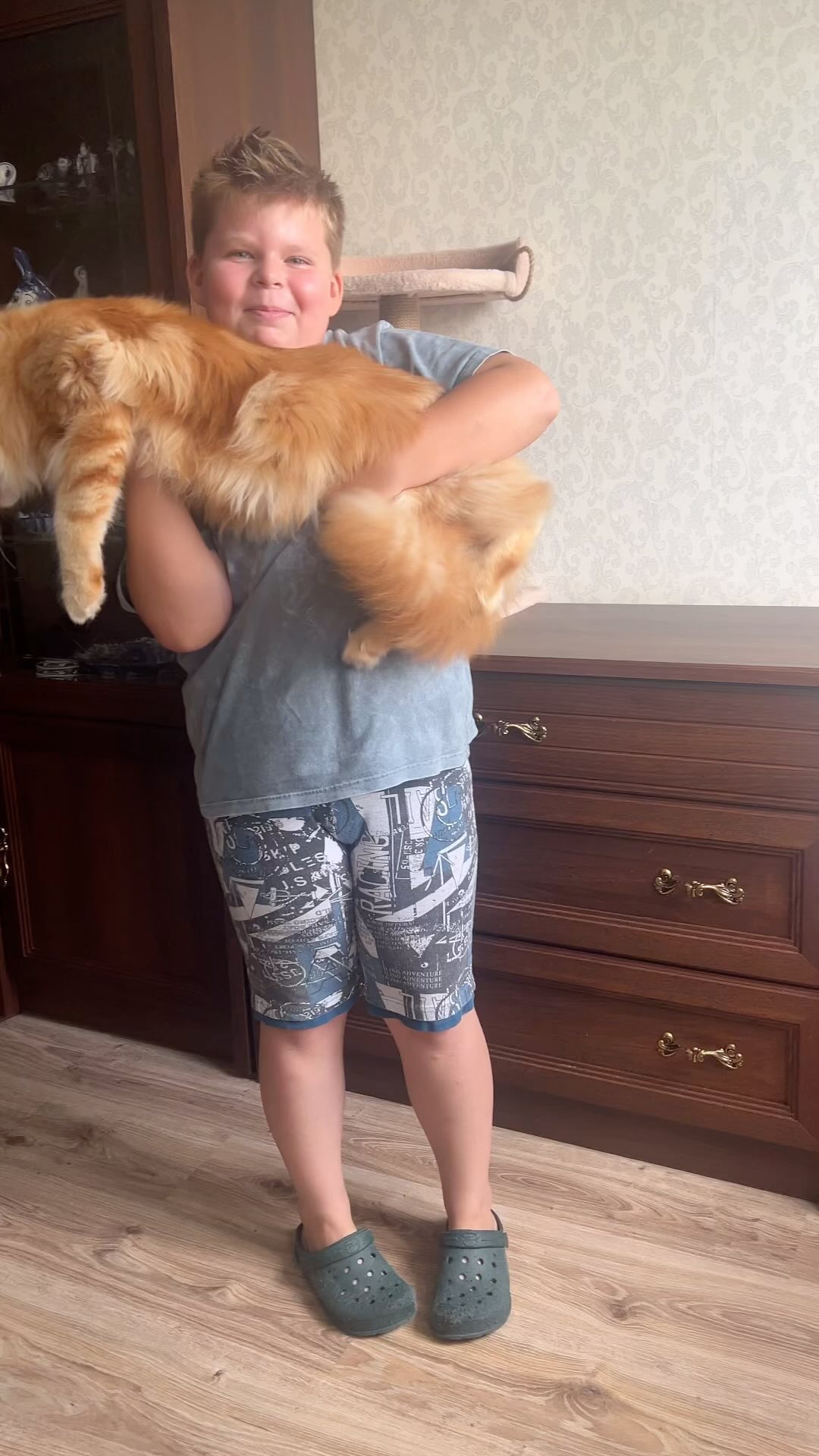 maine_coon_fengshui в LOOKY. #мейнкун,#мейнкуны,#купитькотенка,#животныедома,#животные,#куны,#питомник,#большойкот. #мейнкун #мейнкуны #...