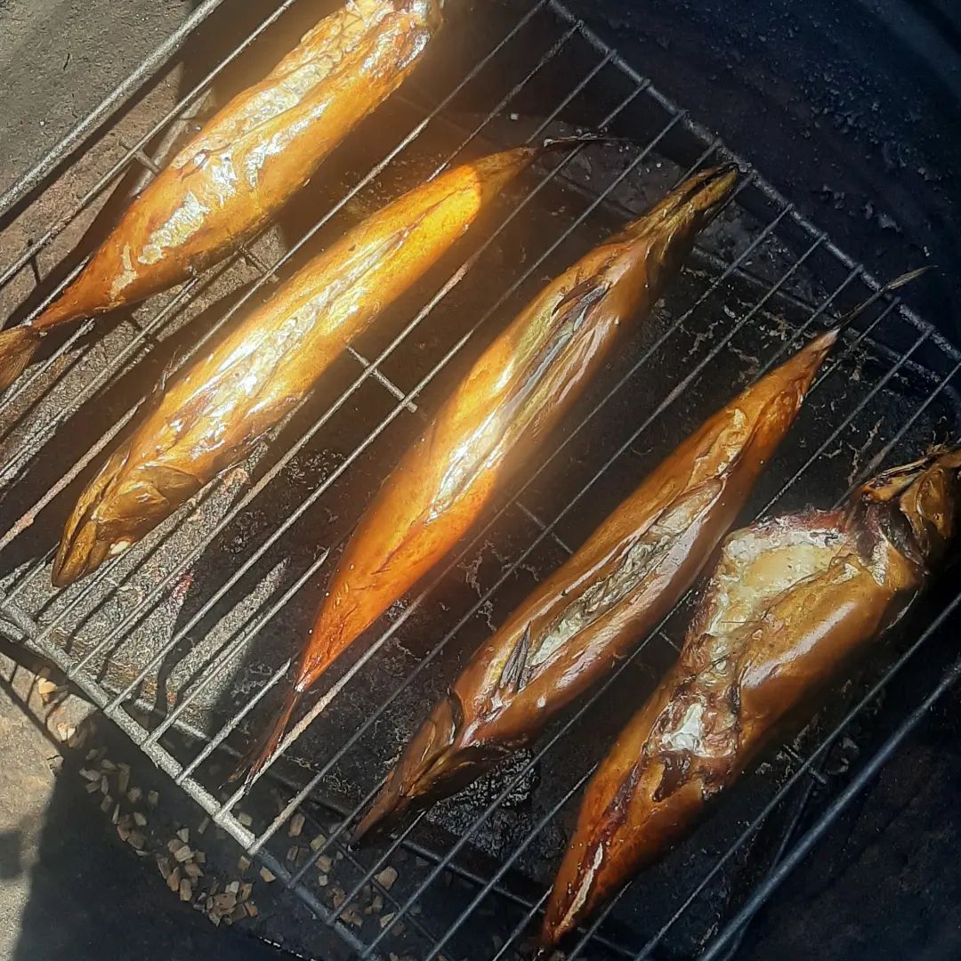 akinin98 в LOOKY. #россия,#белгород,#старыйоскол,#коптильня,#рыба,#fish,#скумбрия,#своимируками,#смачно,#diy,#всекомне. Накоптил! Было вкусн...
