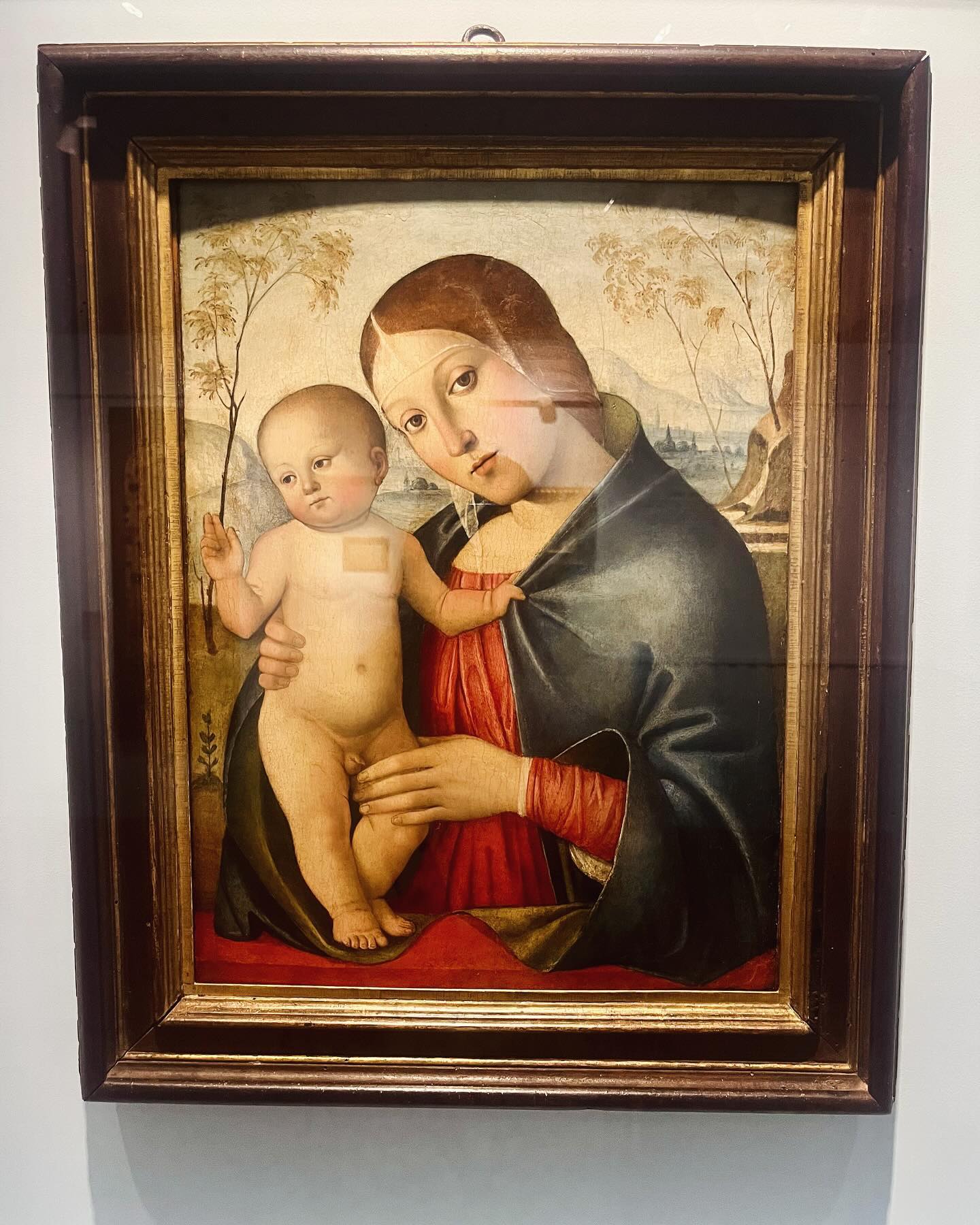 darianikolaeva115 в LOOKY — фото 10