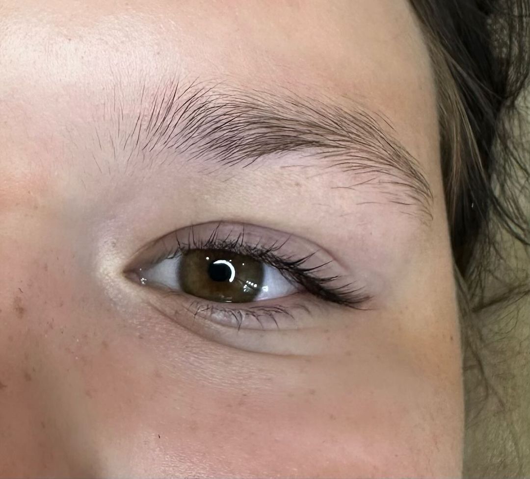 bvi_brows_lami в LOOKY. . null